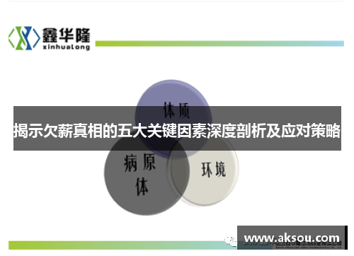 揭示欠薪真相的五大关键因素深度剖析及应对策略