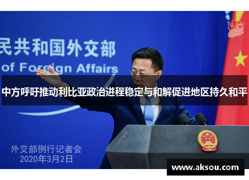 中方呼吁推动利比亚政治进程稳定与和解促进地区持久和平