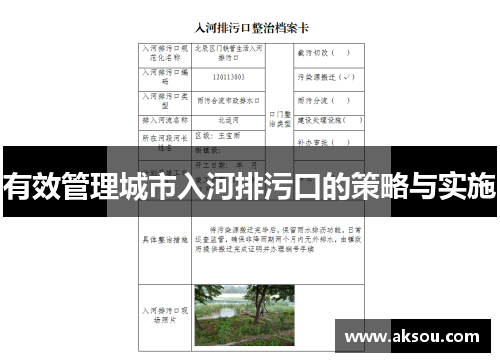 有效管理城市入河排污口的策略与实施