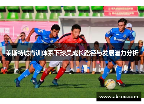 莱斯特城青训体系下球员成长路径与发展潜力分析